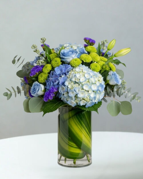 BC-Blue-10