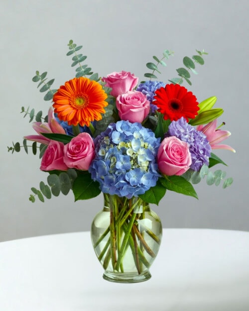 BC-Bright-Cheery-204