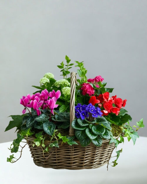BC-Flowering-Basket-5