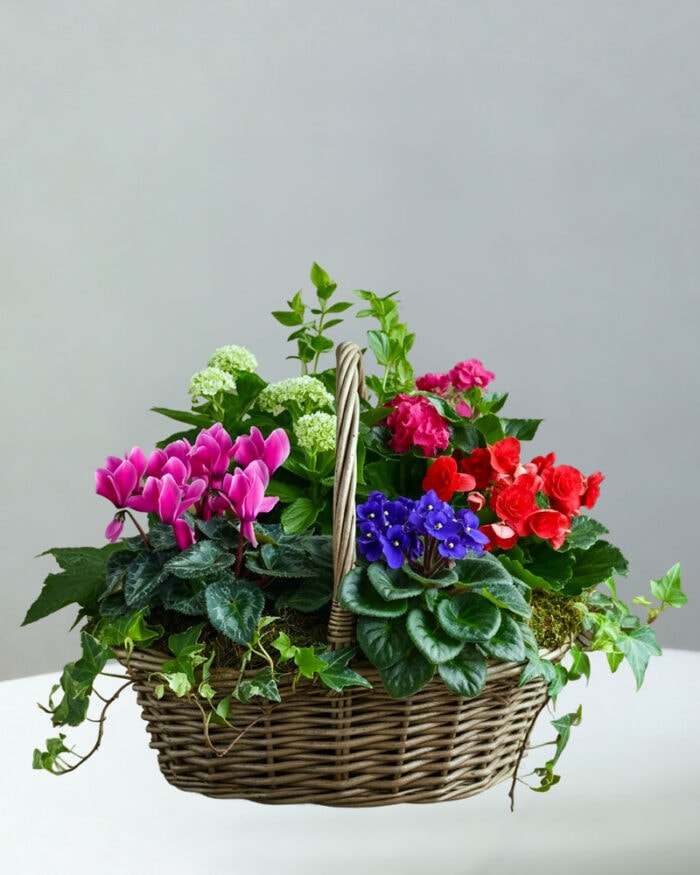BC-Flowering-Basket-5