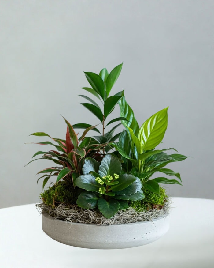 BC-Plant-Garden-52