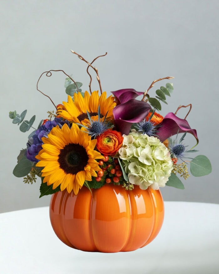BC-Pumpkin-2