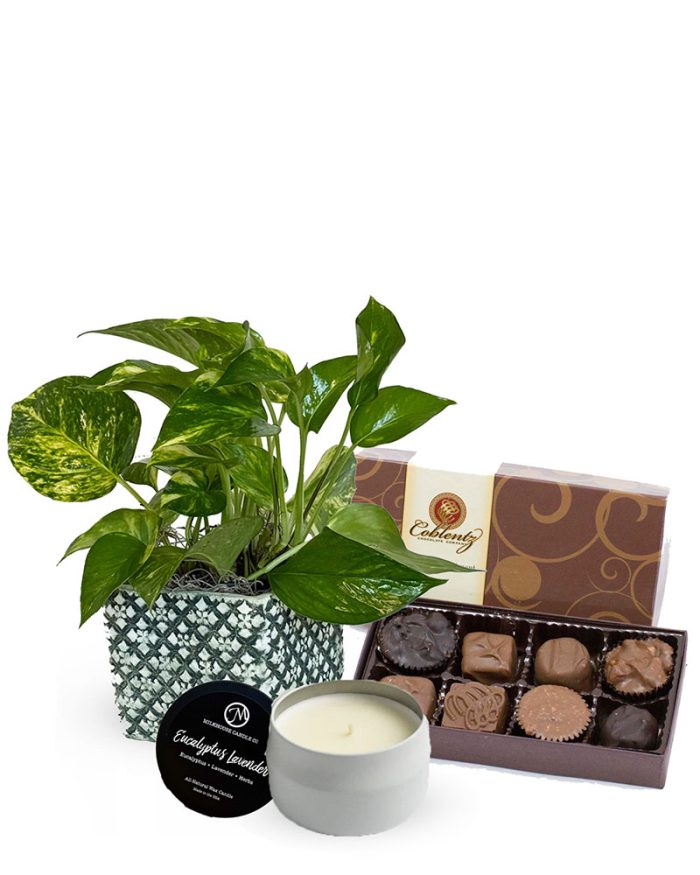 Finishing Touch Bundle