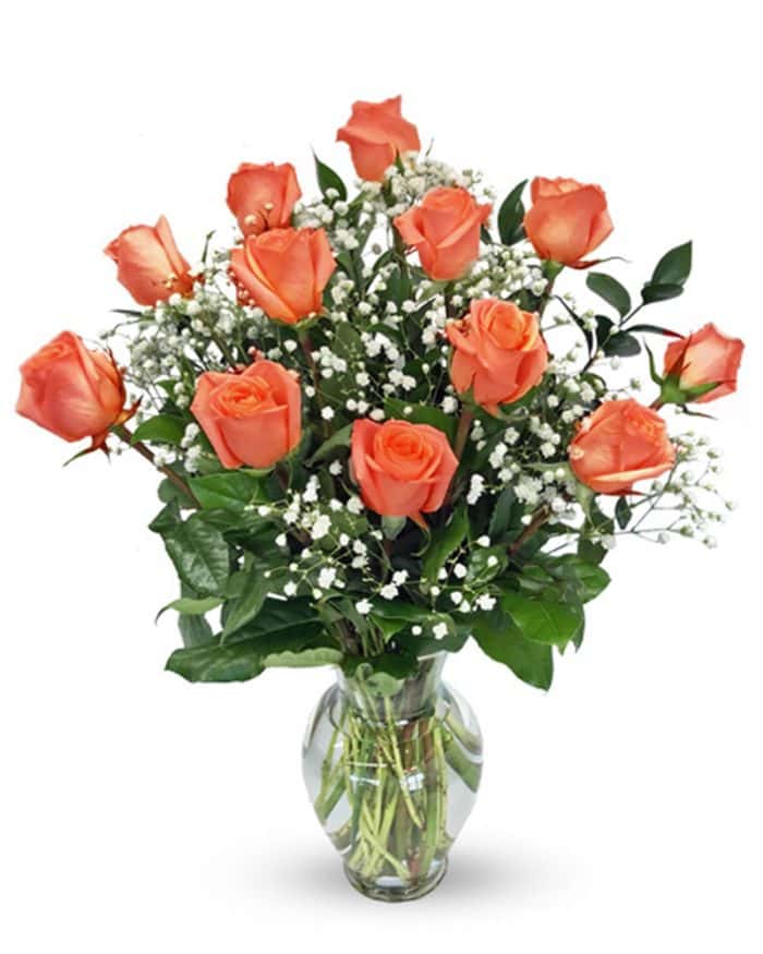 Dozen Orange Roses